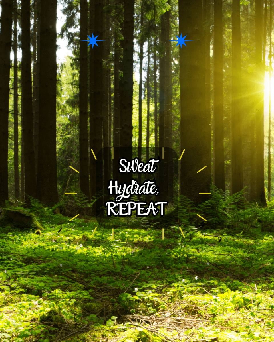 Sweat, Hydrate, Repeat - Fitness Mallomo