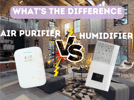 What are the differences between Air purifier and Humidifier - Fitness Mallomo
